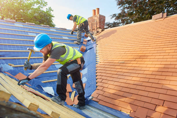 Best Chimney Flashing Repair  in Lutcher, LA